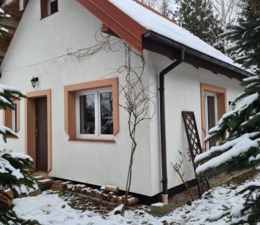 Barczewo Bed & Breakfast | Hotelik pod różą