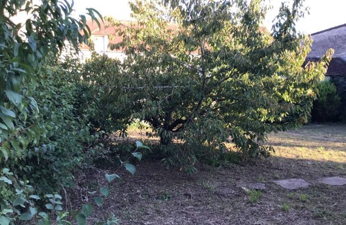 Puiseaux House | House 180 m2 and garden 600 m2 14 Sleeps maximum