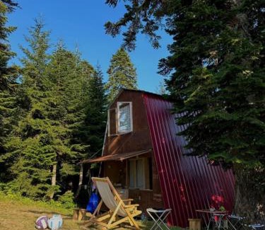 Khulo House | House in forest