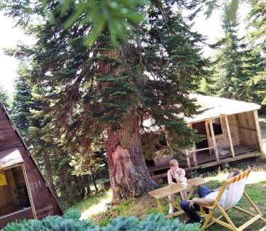 Khulo House | House in forest