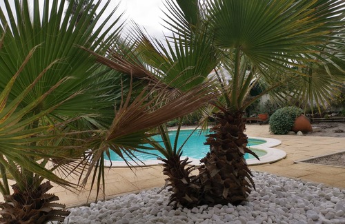 Casalinho House | House in Lagoa de Óbidos, garden, private pool, Wifi