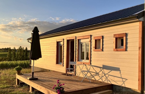 Faye-d'Anjou House | House in the heart of the vineyards with beautiful view of the Côteaux du Layon
