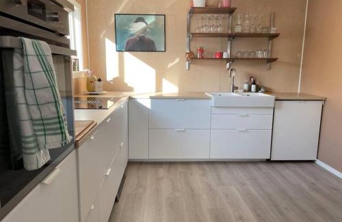 Andenes House | House in the center of Andenes