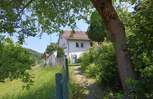 Bad Liebenstein House | House in the countryside - vacation with dog and pure nature in the Thuringian Forest