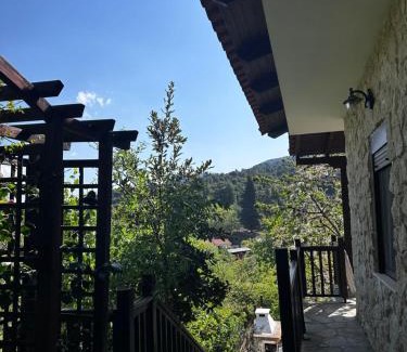 Pisia House | House in the Forest