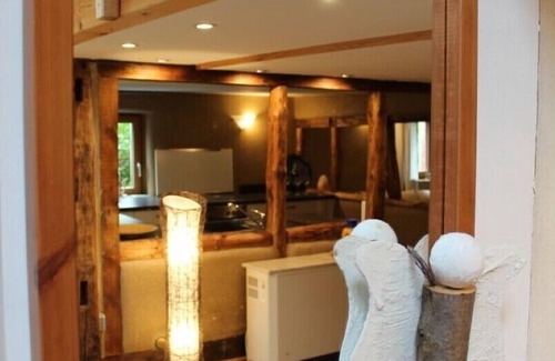 Steinfeld House | House-in-the-meadows