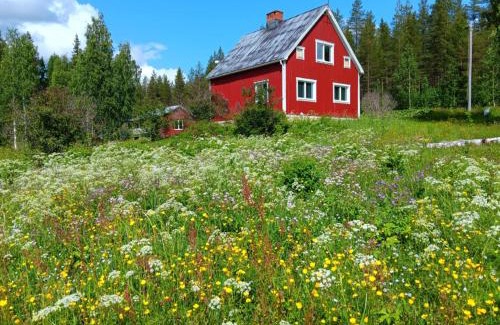 Overkalix House | House in the middle of forests and lakes