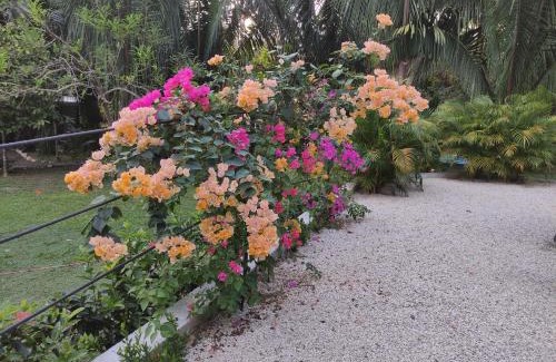 Puerto Carrillo House | House in the palm forest