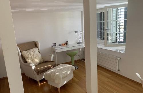 Meilen District House | House of Harmony
