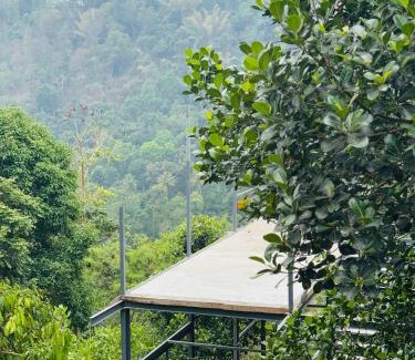 Anachal House | House Of Munnar