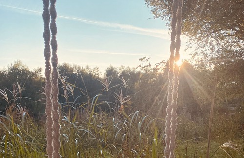 Waldsiedlung Romerstraße House | house on lake