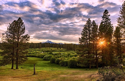 Camp Sherman Cabin | House on Metolius