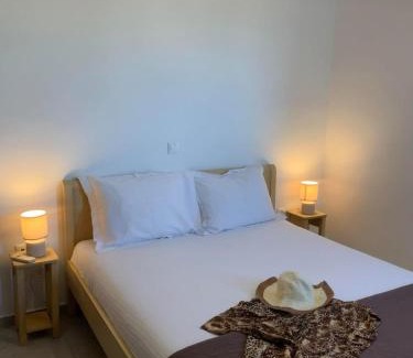 Mikri Vigla Apartment | house on the rock