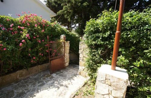 Cove Rogacic House | House Paulo3