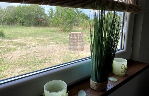 Kavarna House | House sunlight