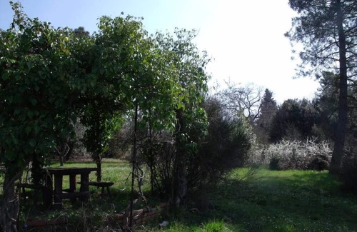 Monte San Savino House | House/Villa - Monte San Savino