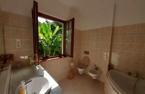 Rakoshegy Apartment | House w little tropical garden