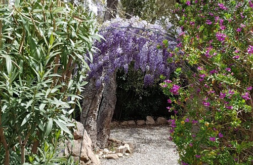 Pinarellu House | House with heated swimming pool, 5 minutes from Pinarello beach