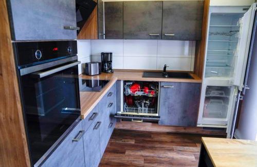 Greppin Apartment | HT Appartement Nr 2
