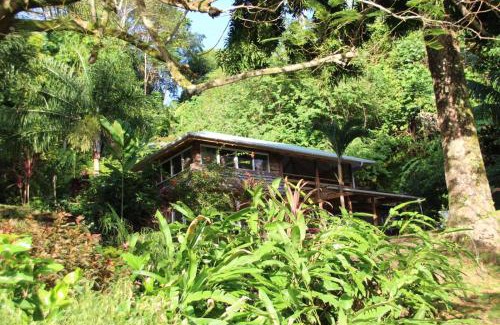 Huahine Cabin | HUAHINE Manta Lodge avec 4x4 optionnel