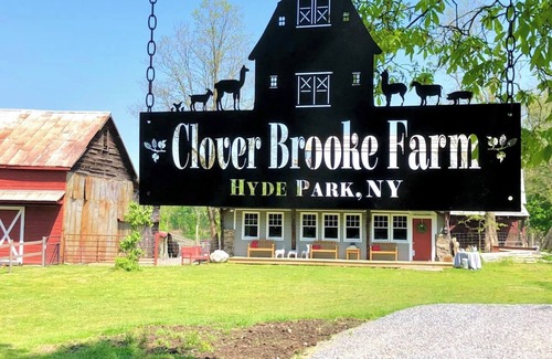 Hyde Park Apartment | Hudson Valley Farm Getaway-East/Alpaca Lane-Apt 1