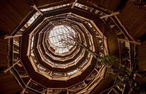 Neltume Cabin | Huilo Huilo Nothofagus Hotel & Spa