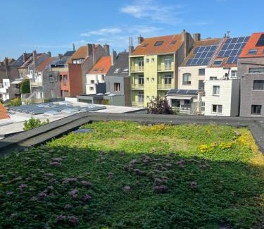 Vogelzang House | Huis Agnes