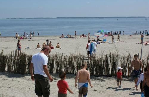 Baarland Ski Chalet | Hut in Baarland with swimming pool