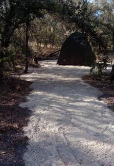 Chobe District Other | Hyenas howl campsite