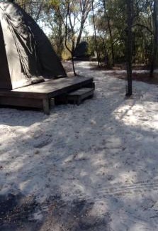 Chobe District Other | Hyenas howl campsite