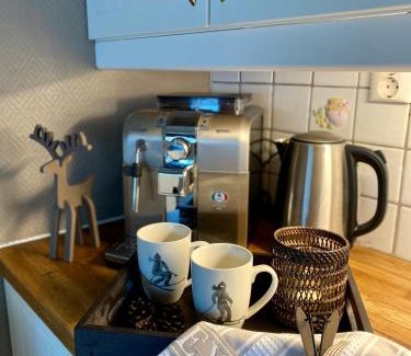 Hemsedal Apartment | Hyggelig leilighet i sentrum