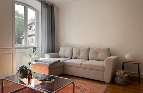 Saverne Apartment | Hypercentre T2 50 m2, Château des Rohan
