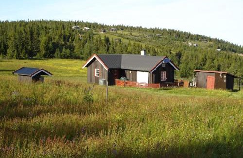 Gol House | Hytte på fjellet, med mange turmuligheter !