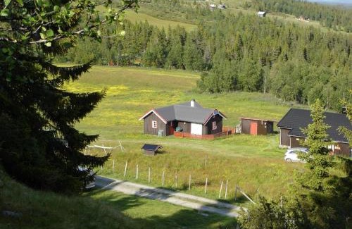 Gol House | Hytte på fjellet, med mange turmuligheter !