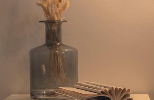 Copertino House | I GELSI B&B