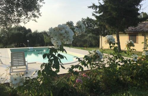 Civitella d'Agliano Bed & Breakfast | I Massi