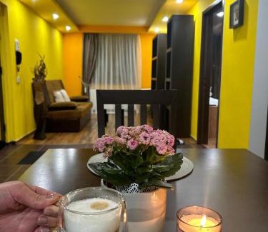 Orastie Apartment | IANIS Apartment