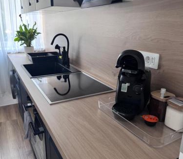 Hunedoara Apartment | Ianis Home