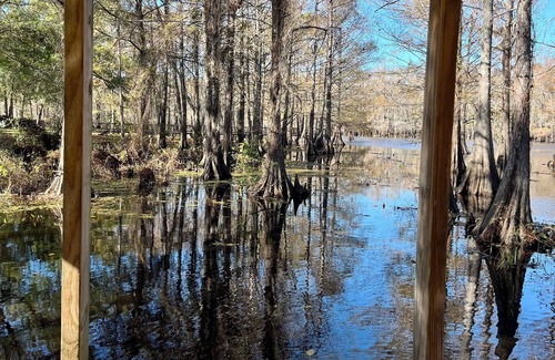 Verda Boat Rental | Iatt Lake Cabins and Kayaks House Boat