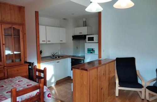 Formigal Apartment | Ibón de espelunciecha