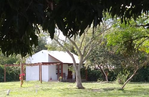 Colonia Carlos Pellegrini House | Ibera Full La Pequeña