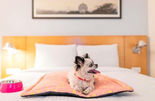 Agara Hotel | ibis Bengaluru Hosur Road - An Accor Brand