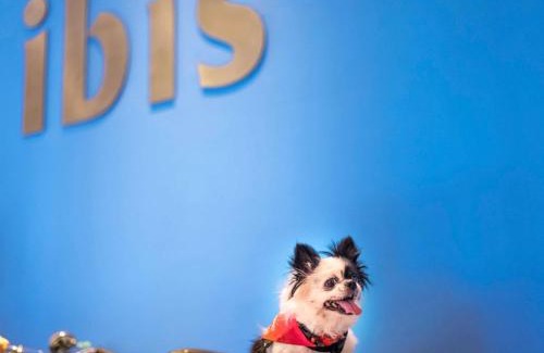 Agara Hotel | ibis Bengaluru Hosur Road - An Accor Brand