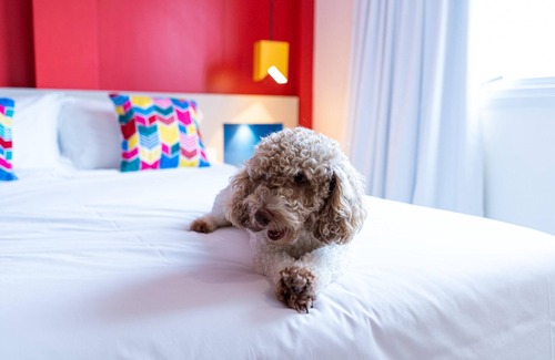 Centro Hotel | ibis Styles Campina Grande