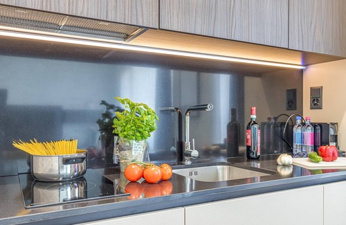 Lugano Apartment | Icon H 405 Suite Business