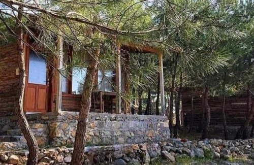 Zeytinli Other | ida bay doğa evleri