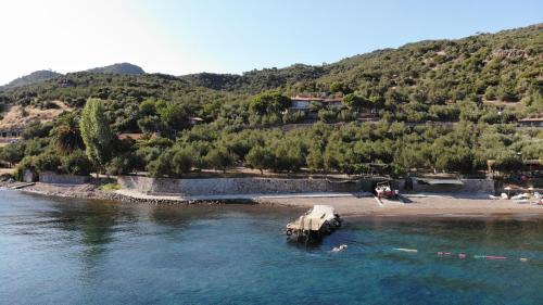 Ayvacik Hotel | idaolea ASSOS