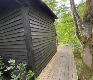 Them Other | Idylisk primitiv hytte midt i skoven