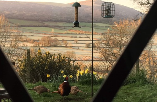 Langford Cottage | Idyllic Cottage in the heart of Somerset in the foothills of the mendips AONB
