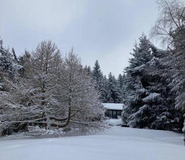 Langer Berg House | Idyllisches Ferienhaus am Wald